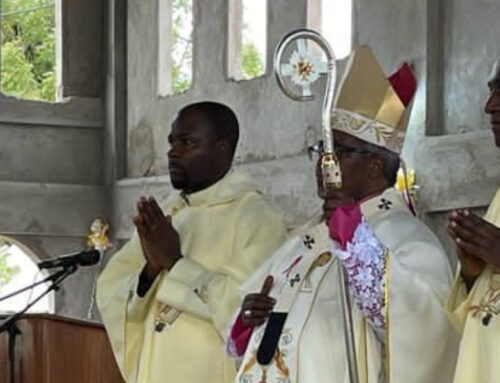 PRIESTLY ORDINATIONS TANZANIA (GEMM)