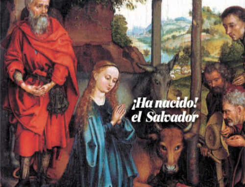 PASIONARIO Diciembre 2023